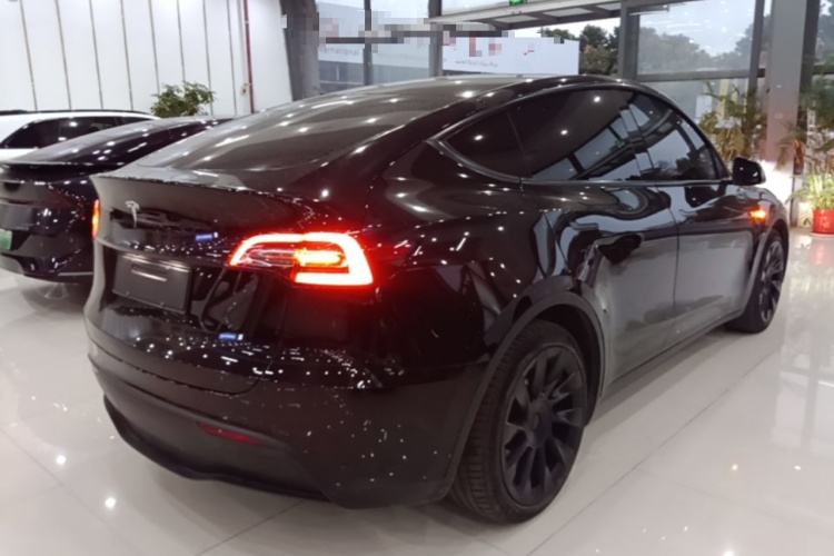 Tesla Model Y 2021 car image #7