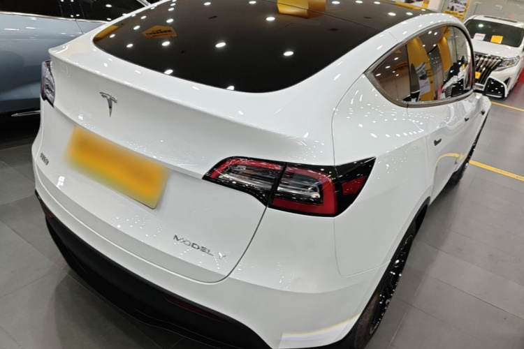Tesla Model Y 2022 immagine di auto #7