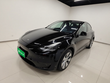 Tesla Model Y 2023 Tesla Model Y 2023 car image