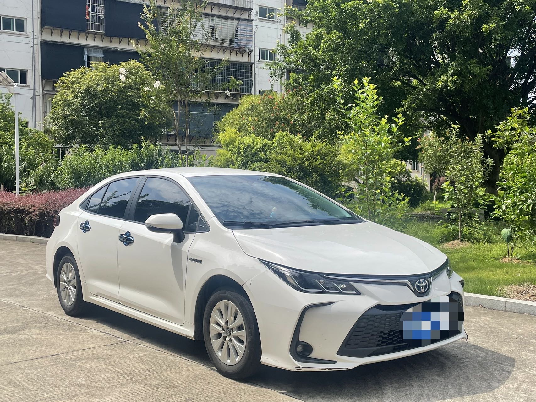 Toyota Corolla 2024 #5 Toyota Corolla 2024 car image #5