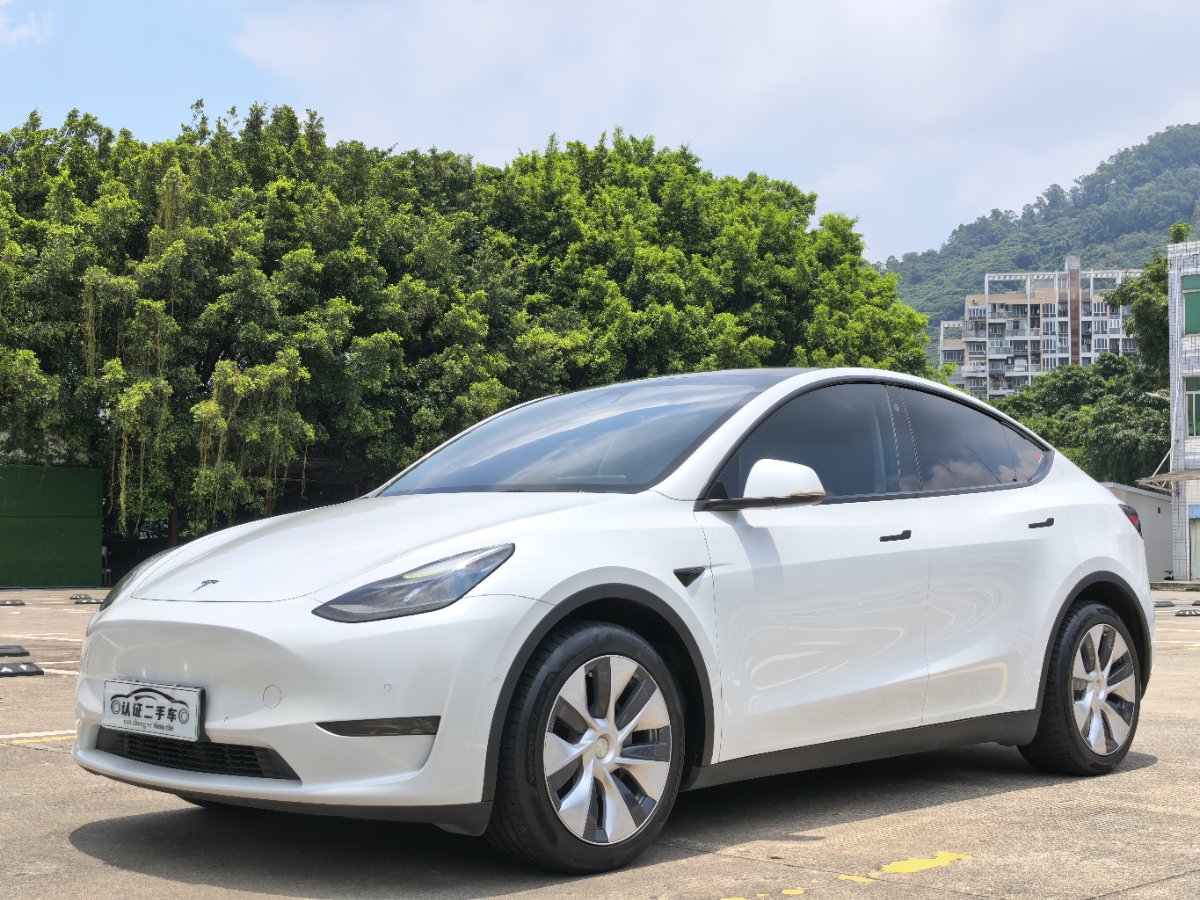 Tesla Model Y 2021 car image 