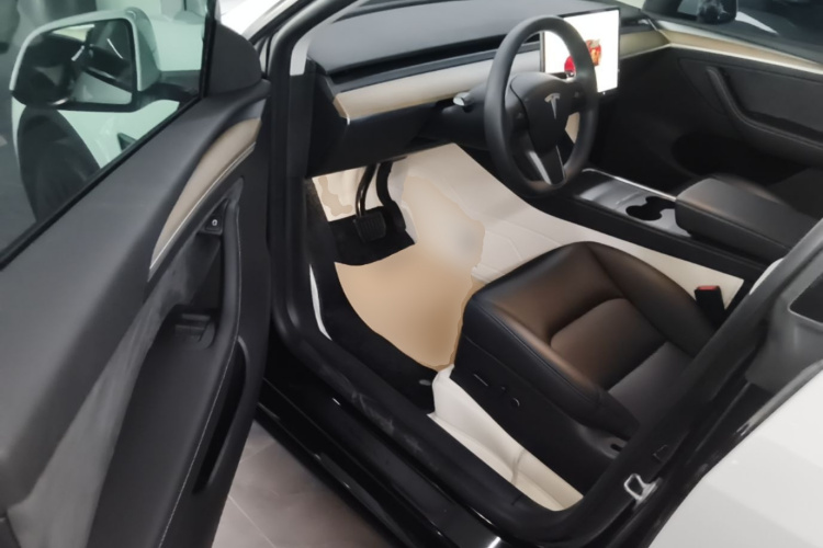 Tesla Model Y 2023 car image #16