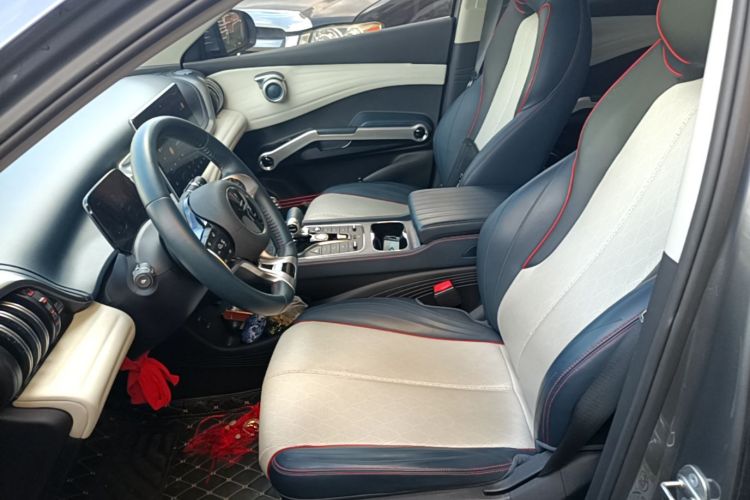BYD Yuan Plus 2022 car image #19