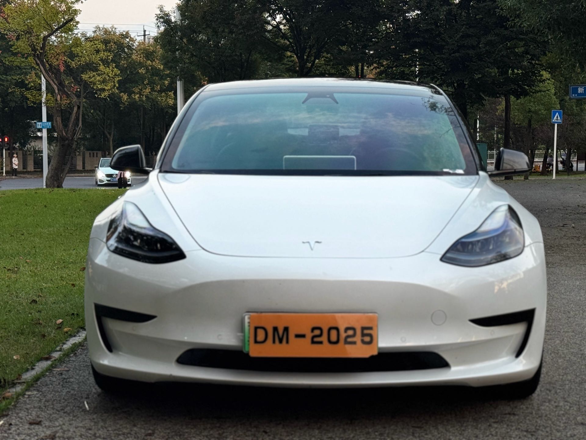 Tesla Model 3 2021 car image #2