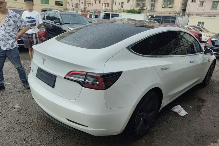 Tesla Model 3 2020 car image #7