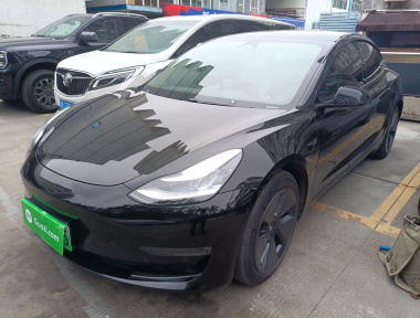 Tesla Model 3 2020 car image 