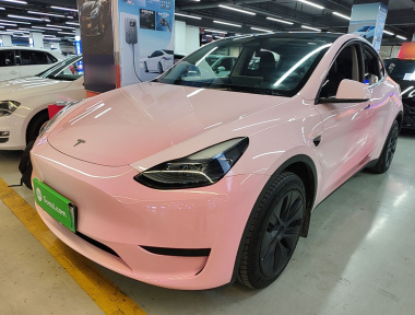 Tesla Model Y 2024 Tesla Model Y 2024 car image