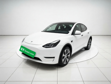 Tesla Model Y 2021 Tesla Model Y 2021 immagine di auto