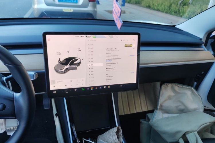 Tesla Model 3 2020 car image #15