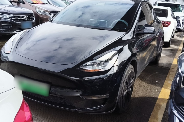 Tesla Model Y 2021 #2 Tesla Model Y 2021 car image #2