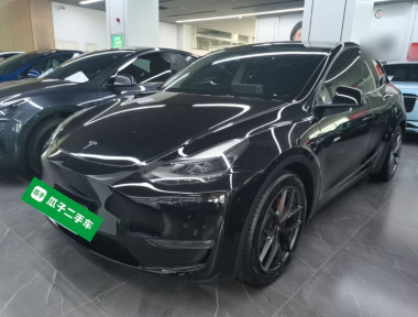Tesla Model Y 2022 car image 