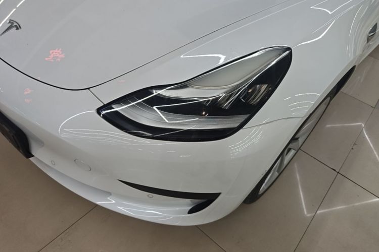 Tesla Model 3 2019 #23 Tesla Model 3 2019 car image #23