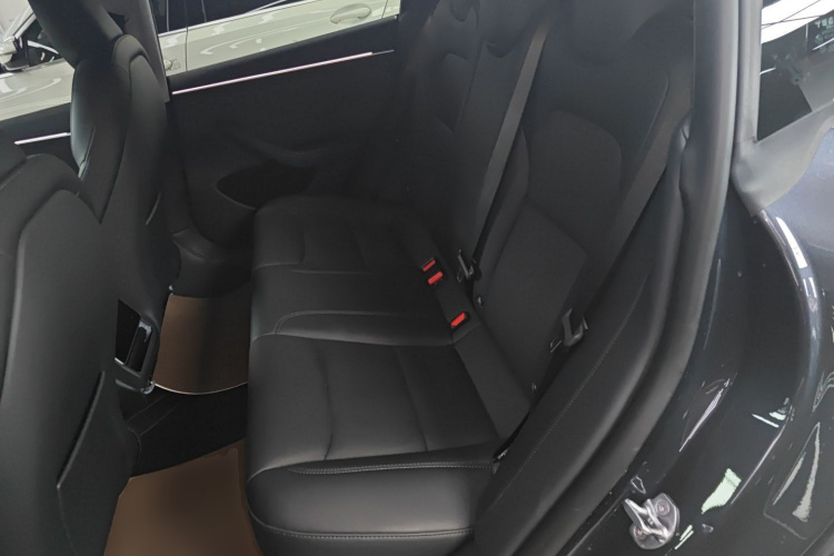Tesla Model 3 2024 car image #13