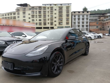 Tesla Model 3 2023 immagine di auto 