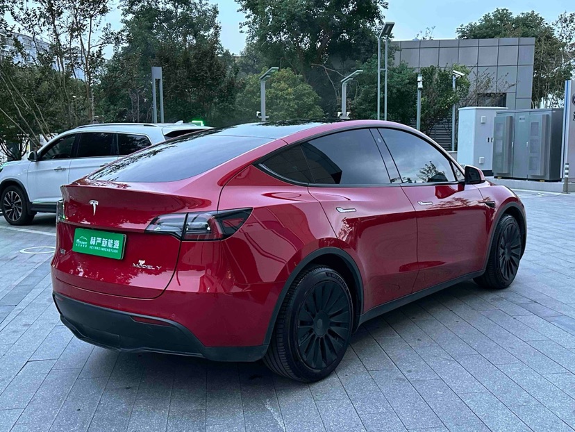 Tesla Model Y 2021 car image #6