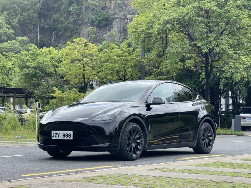Tesla Model Y 2022 Tesla Model Y 2022 car image