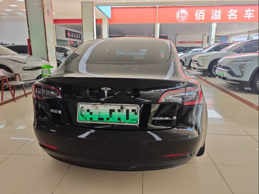 Tesla Model 3 2023 #8 Tesla Model 3 2023 car image #8