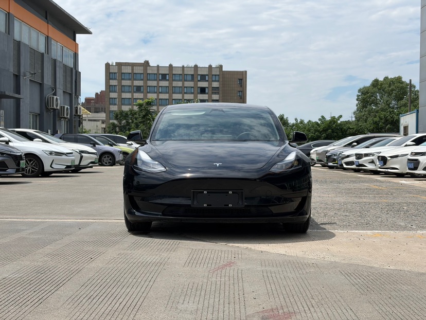 Tesla Model 3 2023 Tesla Model 3 2023 immagine di auto