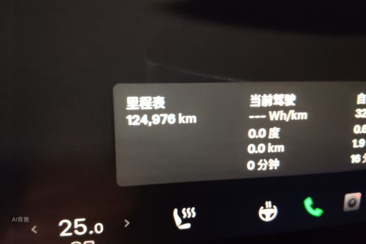 Tesla Model Y 2022 car image #14