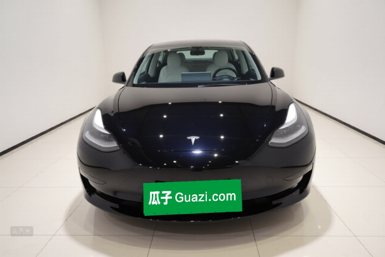 Tesla Model 3 2021 car image #3