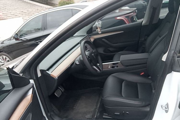 Tesla Model 3 2021 car image #12