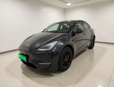 Tesla Model Y 2022 Tesla Model Y 2022 immagine di auto
