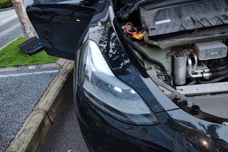 Tesla Model Y 2022 car image #8