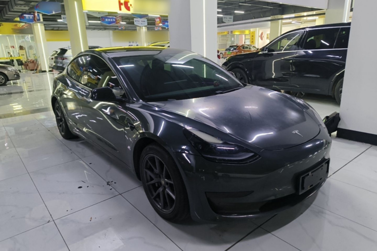 Tesla Model 3 2021 #4 Tesla Model 3 2021 car image #4