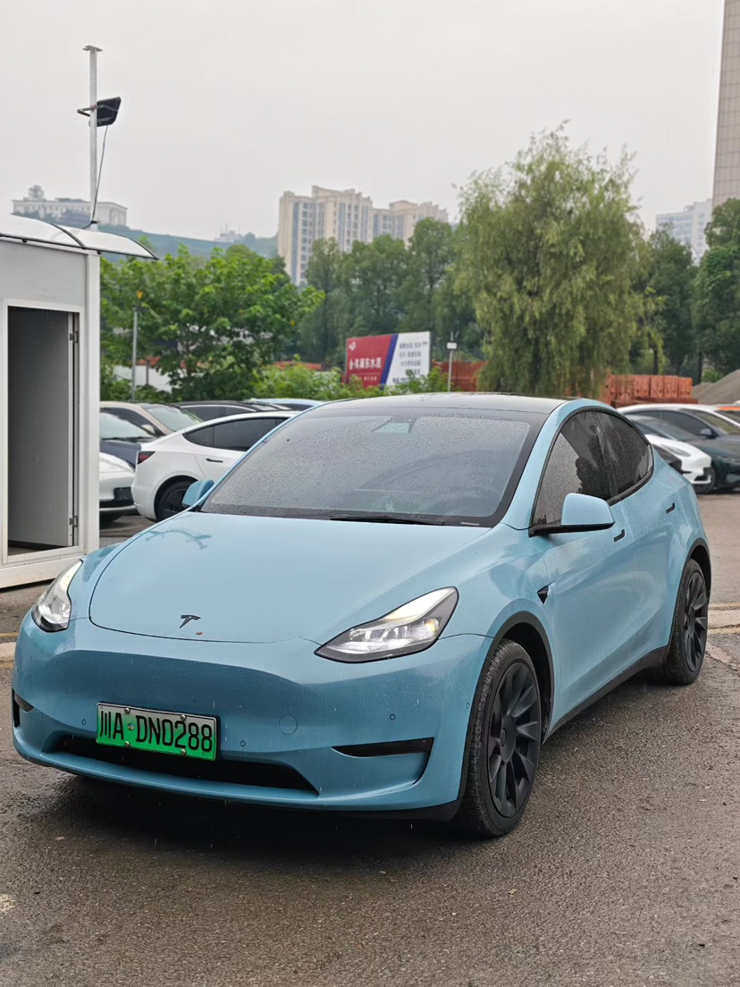 Tesla Model Y 2021 Tesla Model Y 2021 car image