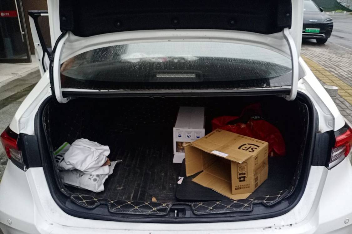 Toyota Corolla 2019 #8 Toyota Corolla 2019 car image #8
