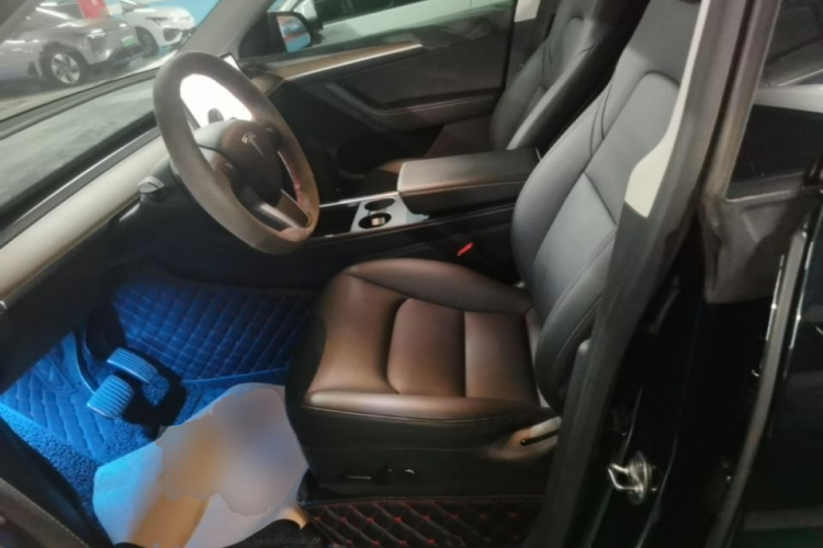 Tesla Model Y 2021 car image #15