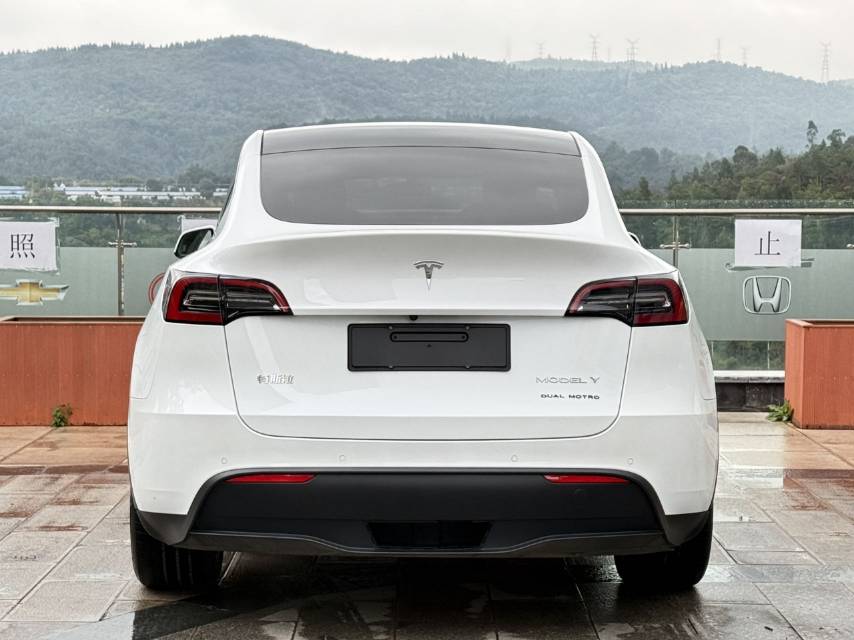 Tesla Model Y 2021 car image #15