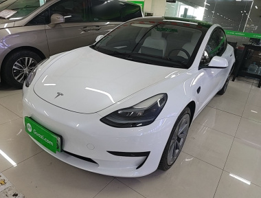Tesla Model 3 2022 car image 