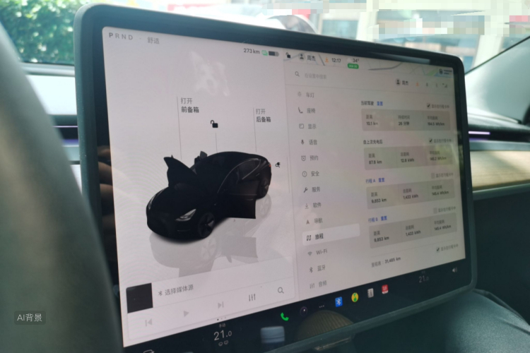 Tesla Model 3 2022 car image #15