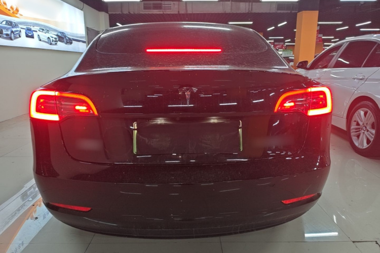 Tesla Model 3 2022 immagine di auto #6