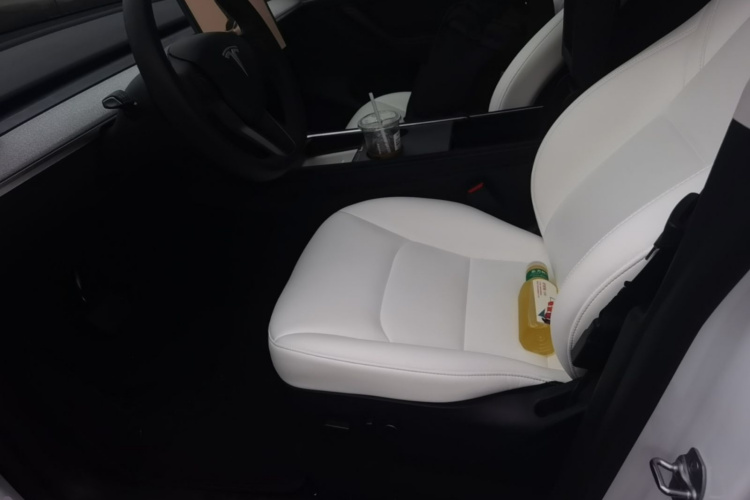 Tesla Model Y 2024 car image #15