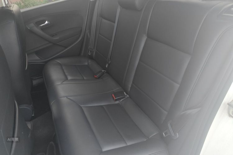 Volkswagen Polo 2016 car image #19