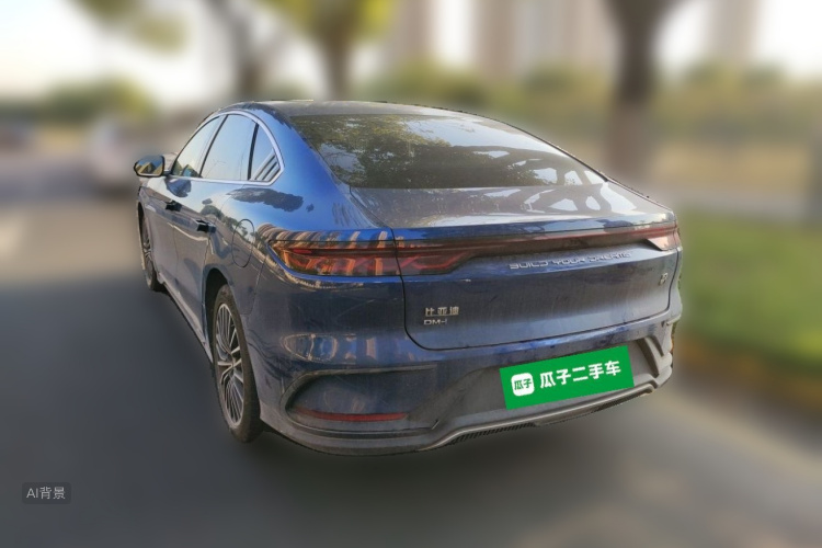 BYD Han 2022 #6 BYD Han 2022 immagine di auto #6