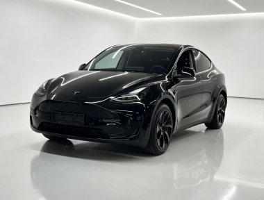 Tesla Model Y 2023 Tesla Model Y 2023 car image