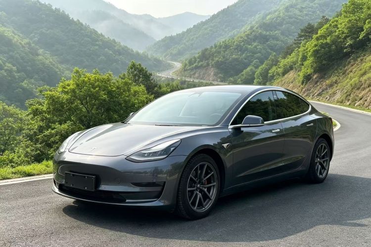 Tesla Model 3 2020 #2 Tesla Model 3 2020 car image #2