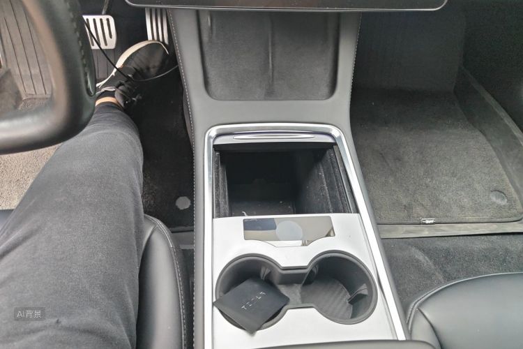 Tesla Model 3 2022 car image #16