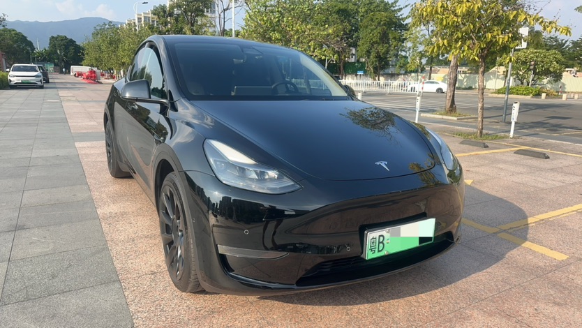 Tesla Model Y 2021 #3 Tesla Model Y 2021 car image #3