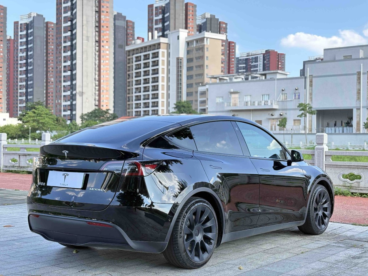 Tesla Model Y 2022 car image #9