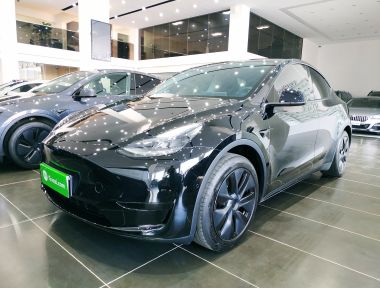 Tesla Model Y 2023 Tesla Model Y 2023 car image