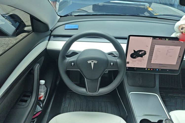 Tesla Model 3 2021 car image #15