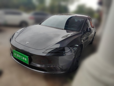 Tesla Model 3 2024 car image 