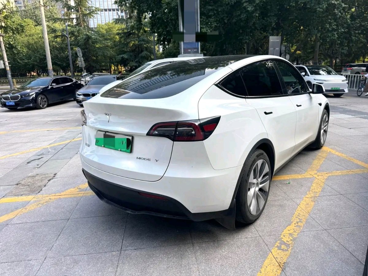 Tesla Model Y 2023 #9 Tesla Model Y 2023 car image #9
