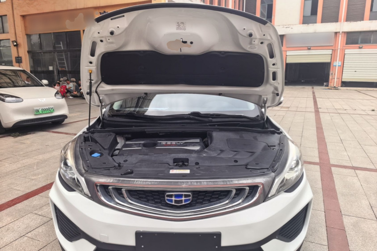 GEELY Emgrand GS 2018 car image #20