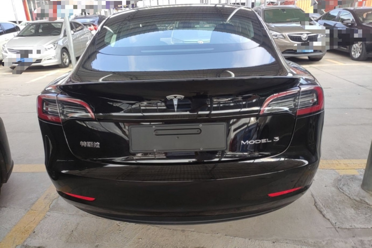 Tesla Model 3 2023 car image #6