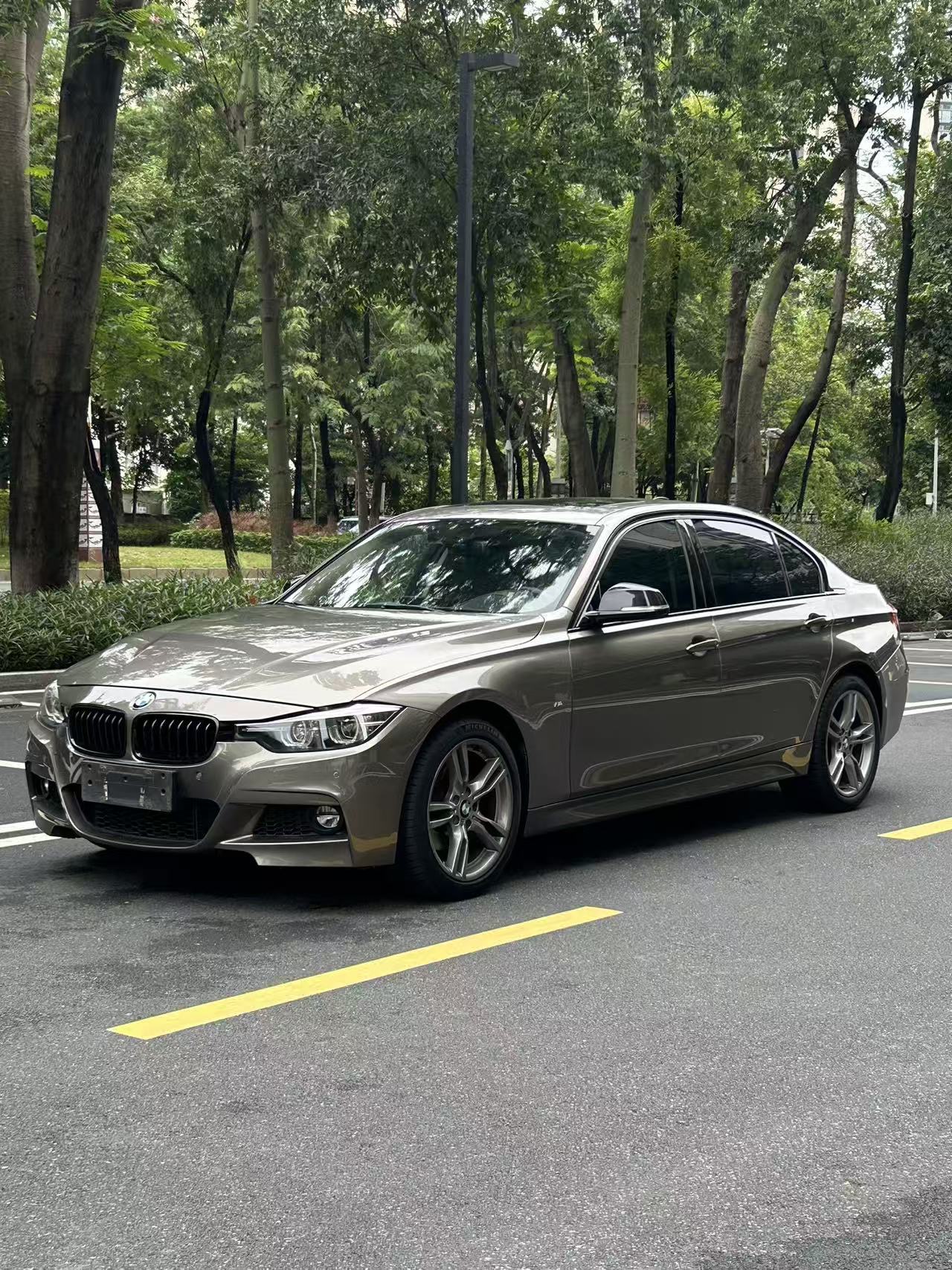 BMW 3 Series 2018 BMW 3 Series 2018 car image
